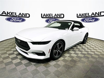 2025 Ford Mustang EcoBoost Premium