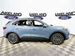 2025 Ford Escape Base