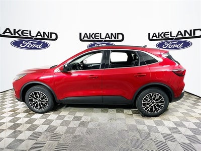 2026 Ford Escape Base