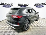 2025 Ford Escape Base
