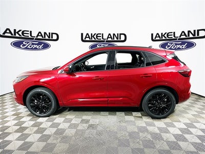 2026 Ford Escape ST-Line Elite