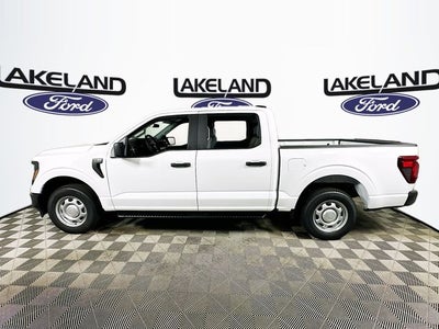 2025 Ford F-150 XL