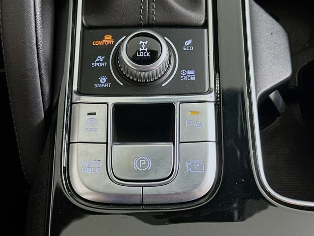 2024 Kia Telluride SX-Prestige X-Pro